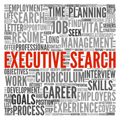 Executive search concept in word tag cloud