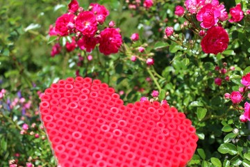 herz im rosenbeet