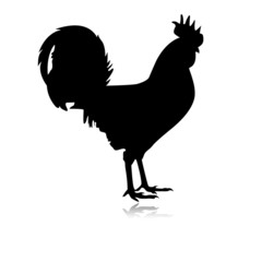 Coq symbole