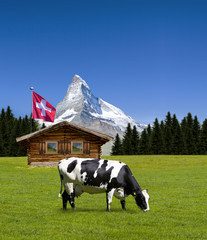 Matterhorn mit Almhütte und Kuh