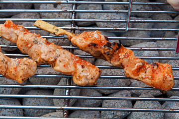 Delicious Asian Oriental Cuisine Chicken Satay