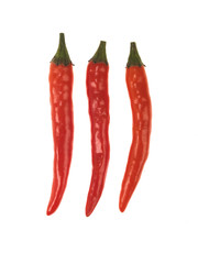 Red Chillies