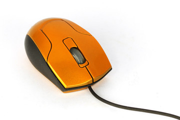 orange computer mouse isolated on white