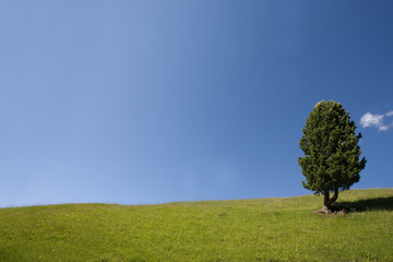 Salviamo la terra