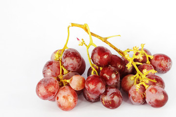grapes isolated