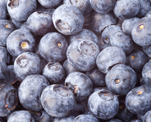 many blueberries