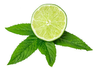 Limes and mint isolated on white background