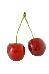 Cherry berries isolated on white background