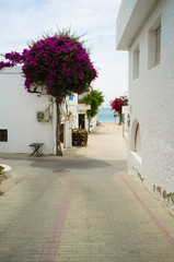 Andalusian village © Olaf Speier