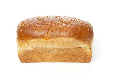 Fresh Organic Whole Wheat Bread