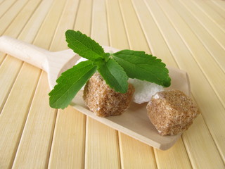 Stevia und Würfelzucker