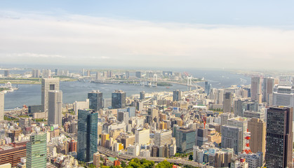 Obraz premium View of Tokyo from Tokyo Tower