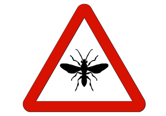 Peligro hormigas voladoras