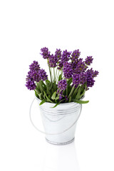 Naklejka na ściany i meble lavender in a metal bucket