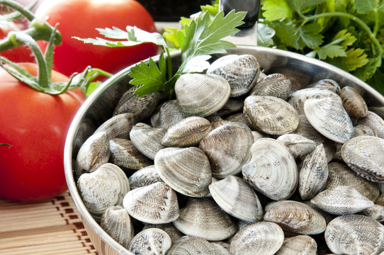 clams