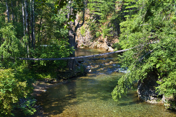 Fototapeta na wymiar подвесной мостик над горной речкой