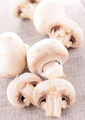 mushroom
