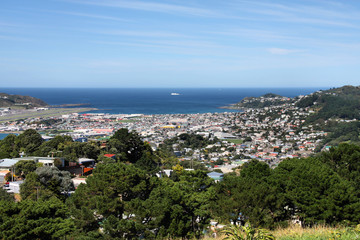 Wellington, New Zealand - Newtown and Melrose areas © Tupungato