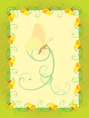 green frame with curves and butterflies