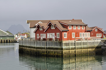 rurbuer lofoten