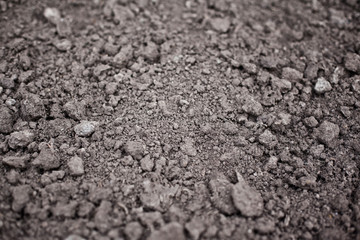 soil