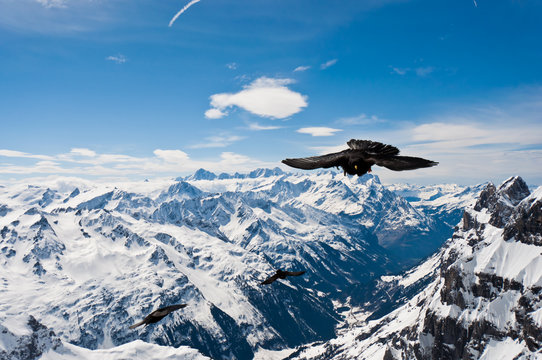 Panoramic View Of Urner Alps