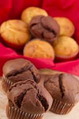 muffins