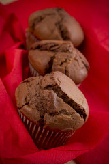 schokoladenmuffins