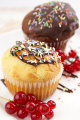 muffins