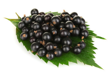 Fresh black currant isolated on white