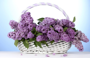 Fototapeta na wymiar beautiful lilac flowers in basket on blue background