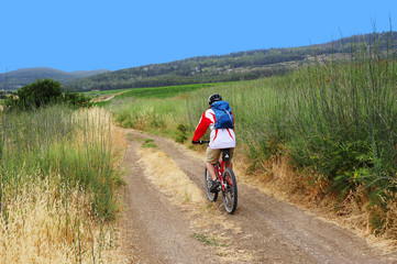 Fototapeta premium Bike walk