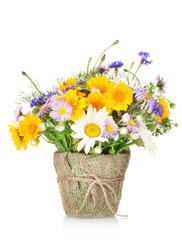 beautiful bouquet of bright  wildflowers in flowerpot, isolated