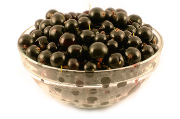 Currant