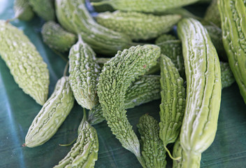 fresh bitter melons