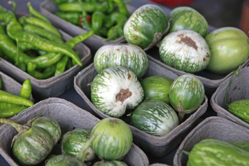 green eggplants in containers