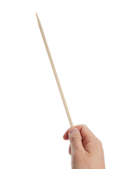 Bamboo Skewer