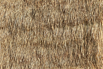 Thatched palm leaf roof