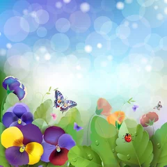 Poster Vlinders Florale achtergrond, kleurrijke viooltjes bloemen in de wei