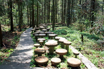 The path in the mountains of Zhangjiajie