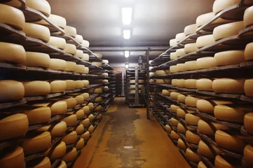 Fototapete Photo of a cheese factory © barelko.com