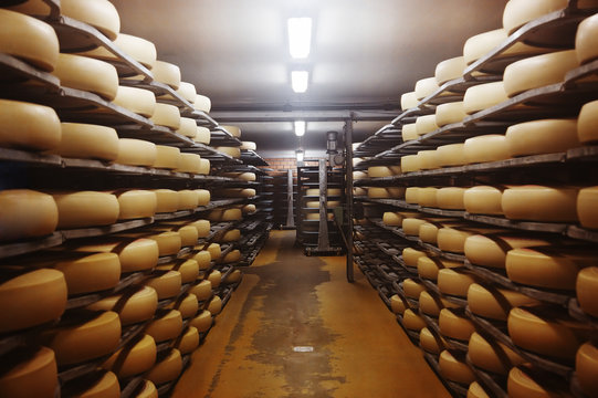Photo of a cheese factory