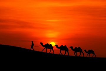 Fototapeta na wymiar camel Sillhouette karawana z zachodem słońca