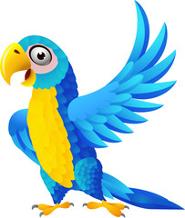 Blue macaw cartoon © idesign2000