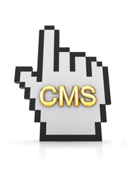 CMS concept.