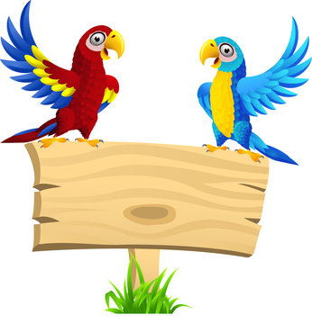 Macaw bird with blank signboard