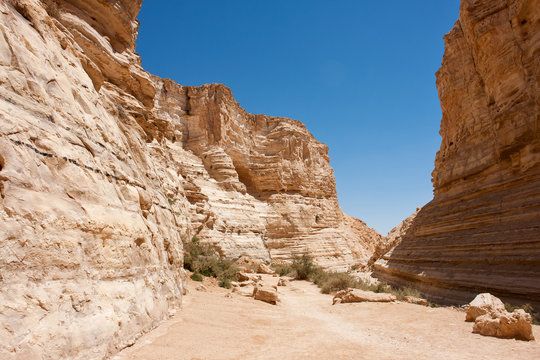Negev desert in the south Israel