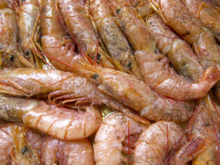 Prawns