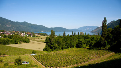 Vue sur le Lac du Bourget et les vignes de Brison St Innocent
