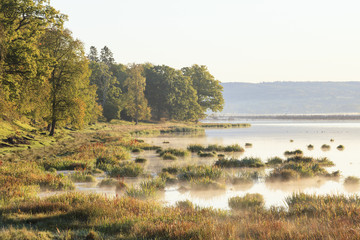 Morning light at the lake